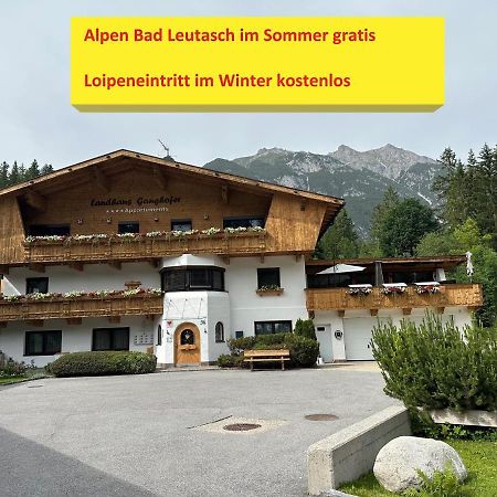 Appartamento W5 Haus Ganghofer Leutasch Esterno foto